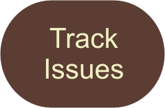 Track Issues